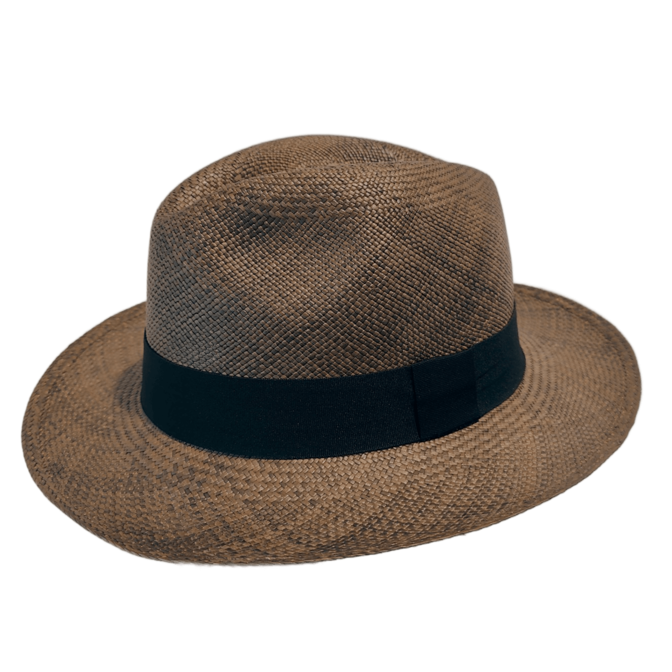 Tortuga
