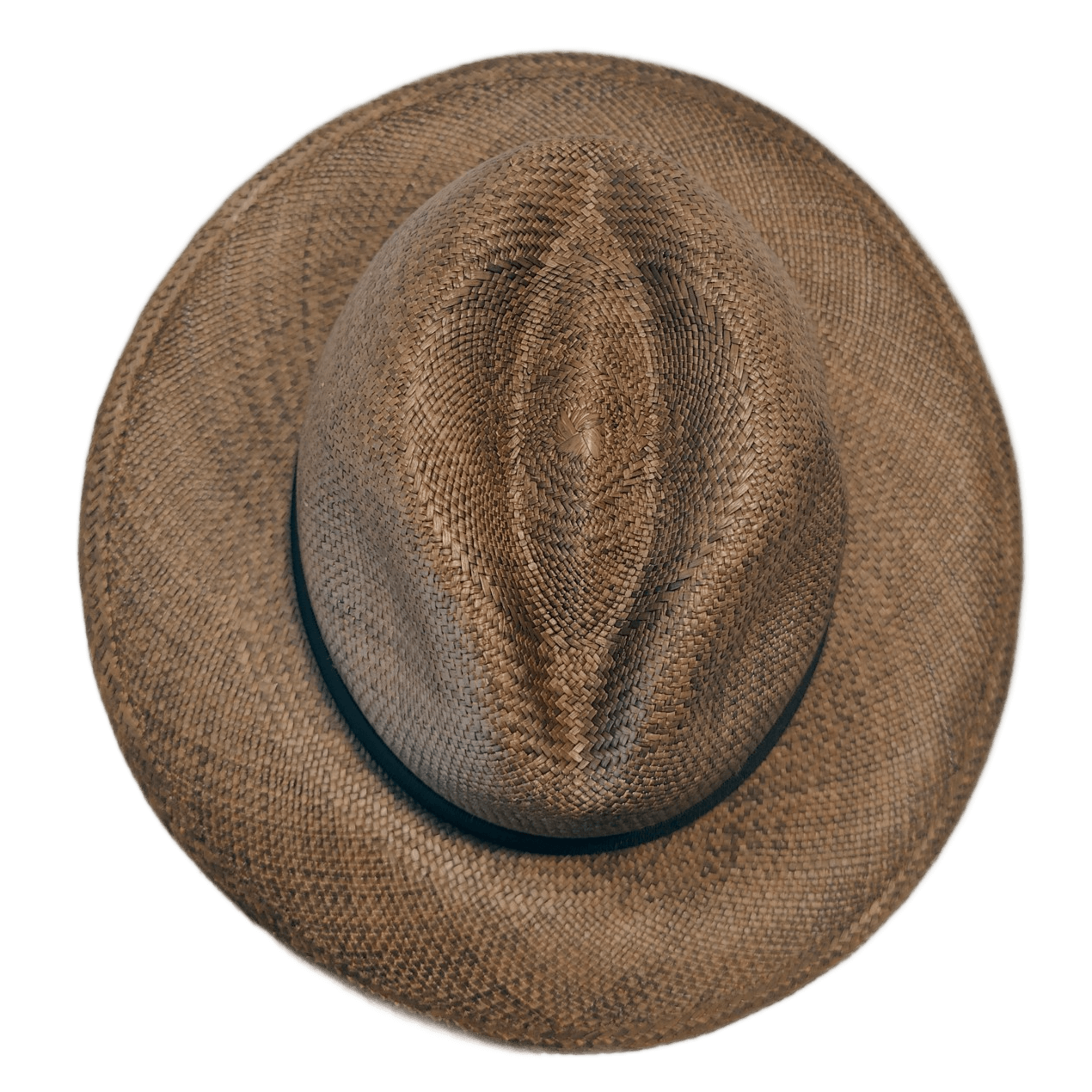 Tortuga